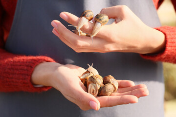 Worker at snail farm, closeup