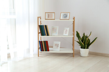 Interior of modern room with shelf unit