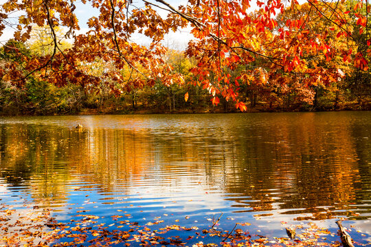 Fall colors and reflections in Birge Pond in Bristol, Connecticut.