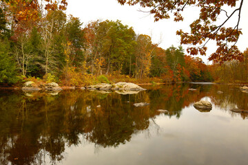 Obraz premium Colorful fall foliage along the Farmington River in Connecticut.