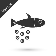 Grey Fish with caviar icon isolated on white background. Vector..