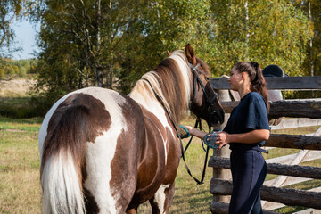 On a warm autumn morning, a rider washes her horse before riding through the field.