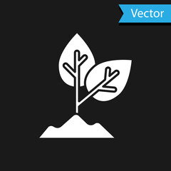 White Plant icon isolated on black background. Seed and seedling. Leaves sign. Leaf nature. Vector.