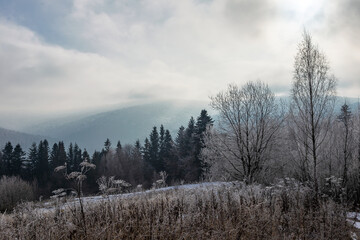 Winter nature. Winter forest covered with hoarfrost on the background of the Carpathian mountains. Winter forest landscape with unique weather conditions. Winter Carpathians.
