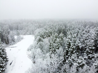 Fototapeta premium Winter landscape with forest river and snowy trees, aerial view