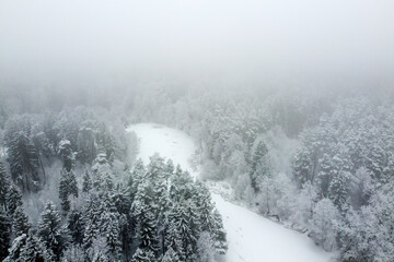 Winter landscape with forest river and snowy trees, aerial view
