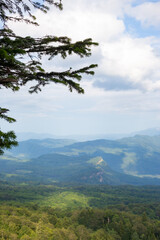 Fototapeta premium Beautiful mountain landscape: mountain slopes and peaks, sky in clouds, forest lowland, fir branches in the frame