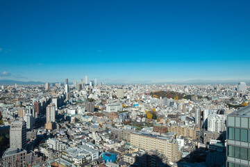 【東京都】文京区シビックセンターより上野方面【2020冬】