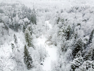 Winter forest with snowy trees, aerial view