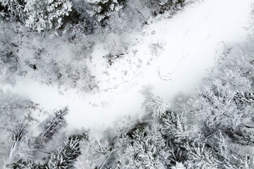 Winter landscape with forest river and snowy trees, aerial view