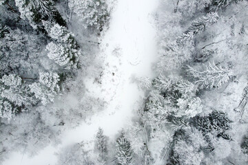 Winter landscape with forest river and snowy trees, aerial view