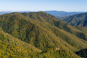 Panoramic view over mountains covered by forest