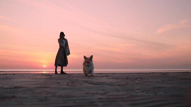 Dog and woman in hat playing on te beach background sunset spbi. Happy female person and pet having fun in nature by water. On sand animal brings ball for owner on command. Human teaches and trains