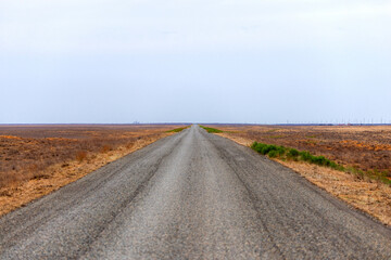 Fototapeta na wymiar Long road stretching out into the distance in steppe