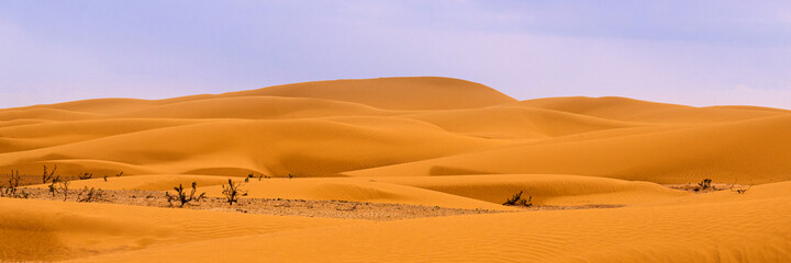 Bend of the ridge of a sand dune in the desert