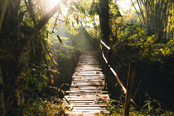 Small wooden bridge at the forest in the morning