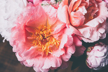 Abundance of Fresh bunch of Peonies Bouquet of different pink colors on light background. Card Concept, macro close up image