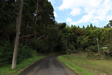 田舎道