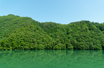 Fototapeta na wymiar 緑の森と緑の湖面
