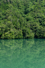 緑の森と緑の湖面