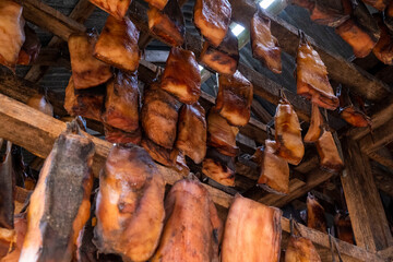 Hákarl - in einer Trockenhütte des Bjarnahöfn Shark Museum hängt das fermentierte Fleisch des Grönlandheis zum Abgasen und trocknen. 