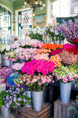Display of colorful flowers on metal pots inside a shop