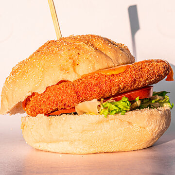 fresh tasty burger on white background