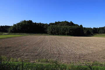 田舎の風景