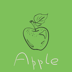 Apple drawing vector, Simple hand drawn fruit with lettering Apple on green square background