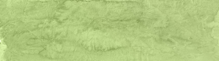 green grass background