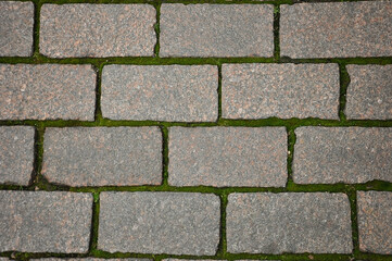 Obraz premium pattern stone paving stones on the square between the stones grows green grass, people walk on it