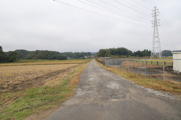 雨の田舎道
