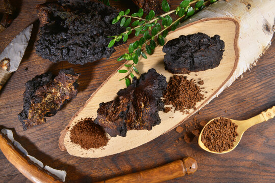 Chaga Mushroom on a wooden Table - Healthy Nutrition