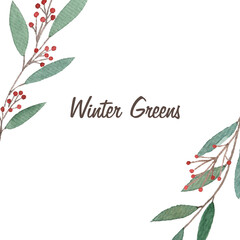 Fototapeta na wymiar Christmas frame with red berries and green sprigs. Holly berry, winter greens. Watercolor illustration.
