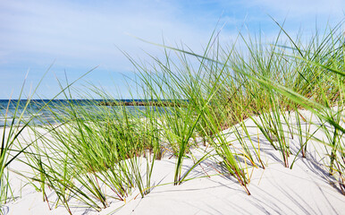 Ostsee Strand mit Dünen und Dünengras im Sommer