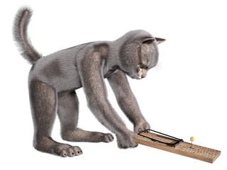 Anthropomorphic gray cat in forward bent position holding a cheese loaded mousetrap with one end already on the floor. Horizontal 3d render on white.