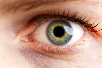 Obraz premium woman macro eye. macro photography of human eye