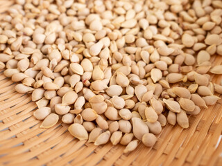 乾燥したゆずの種