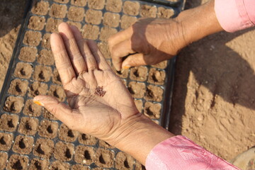 women sowing hands.