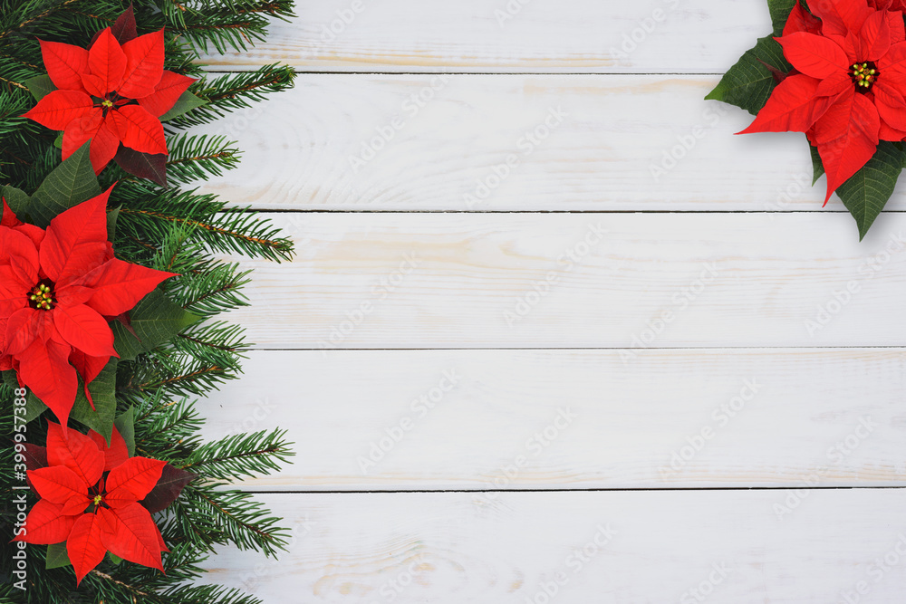 Wall mural Christmas rustic decoration  - spruce branches with red Poinsettia flowers on an old white wooden vintage table with copy space