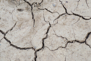 Dry land. Cracks in the ground
