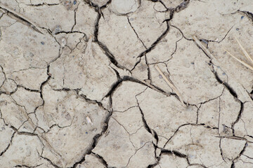 Fototapeta premium Dry land. Cracks in the ground