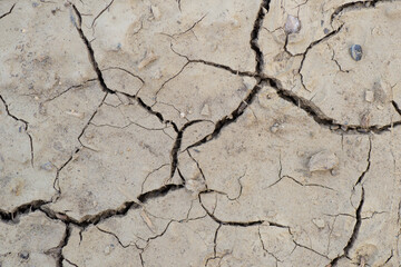 Dry land. Cracks in the ground