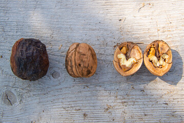Walnuts, in shell and without shell