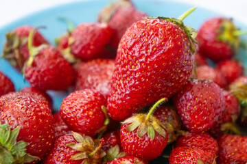 Red juicy strawberries on a plate