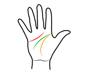 Hand and lines on the palm on a white background. Silhouette. Vector illustration. 