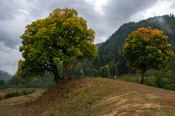 The nature of mountains and the incredible reviews