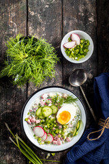 Okroshka. A traditional dish of Russian cuisine.