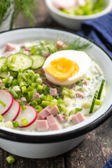 Okroshka. A traditional dish of Russian cuisine.