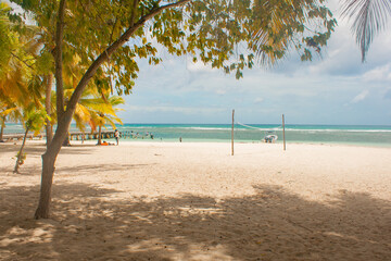 a shadow in the beach summer